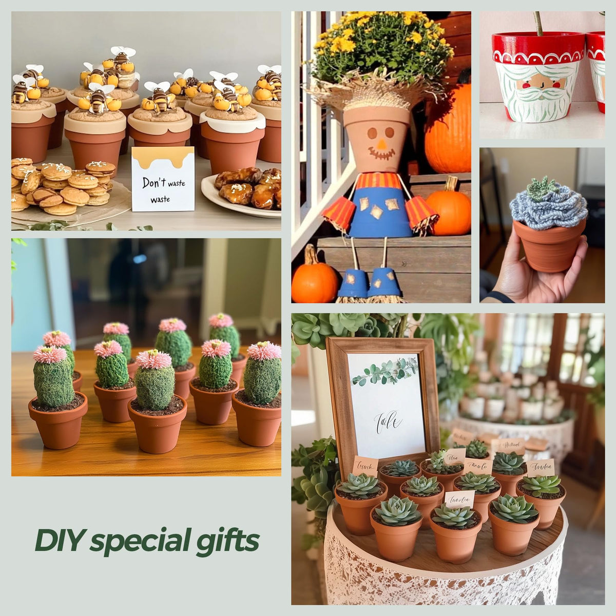 T4U gift-ready terracotta pots suit garden lovers and crafters.