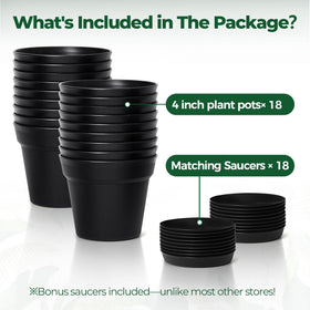 T4U gift-ready small plant pots bulk suitable for gifting.