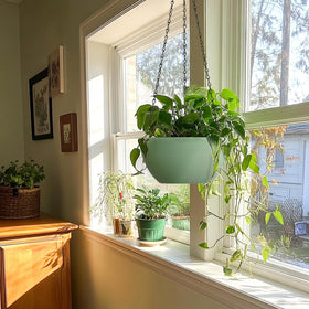 T4U hanging planter with drainage holes to prevent root rot