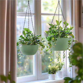 T4U hanging planter with drainage holes helps manage watering for healthy roots