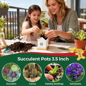 T4U home sweet home planter conveying warm welcome