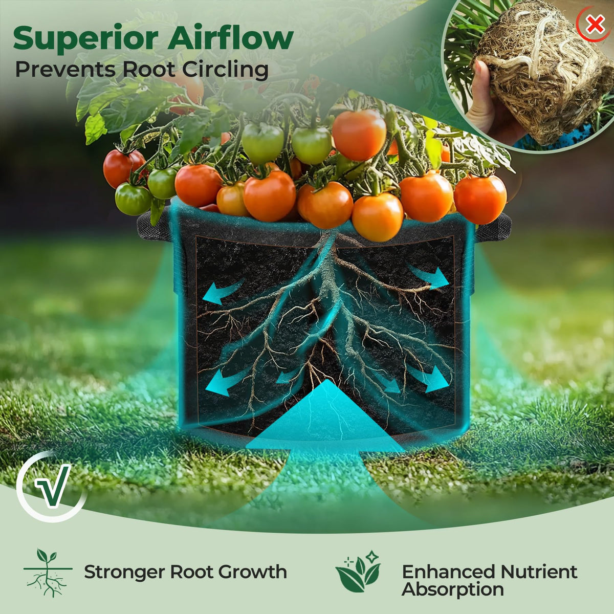 T4U strawberry grow bag for year-round outdoors.
