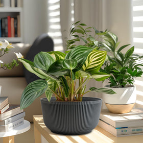 T4U indoor plant pot design shows versatile, modern décor fit