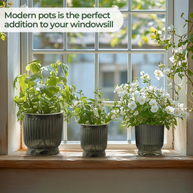 T4U lightweight design makes moving plants effortless.