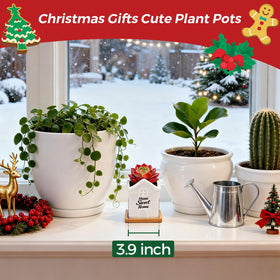 T4U multi-use planter doubling as a candle holder in cozy spaces