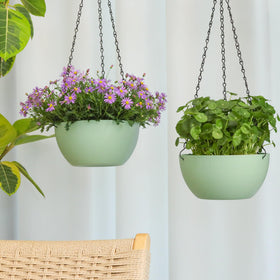 T4U planter pots for ferns ivy and spider plants blend with home decor