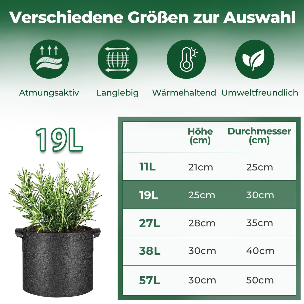 T4U plants thriving in 5-gallon bags with strawberries and tomatoes