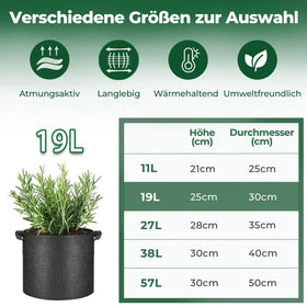 T4U plants thriving in 5-gallon bags with strawberries and tomatoes