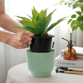 T4U self-watering pot base reservoir and wick system supports plant hydration