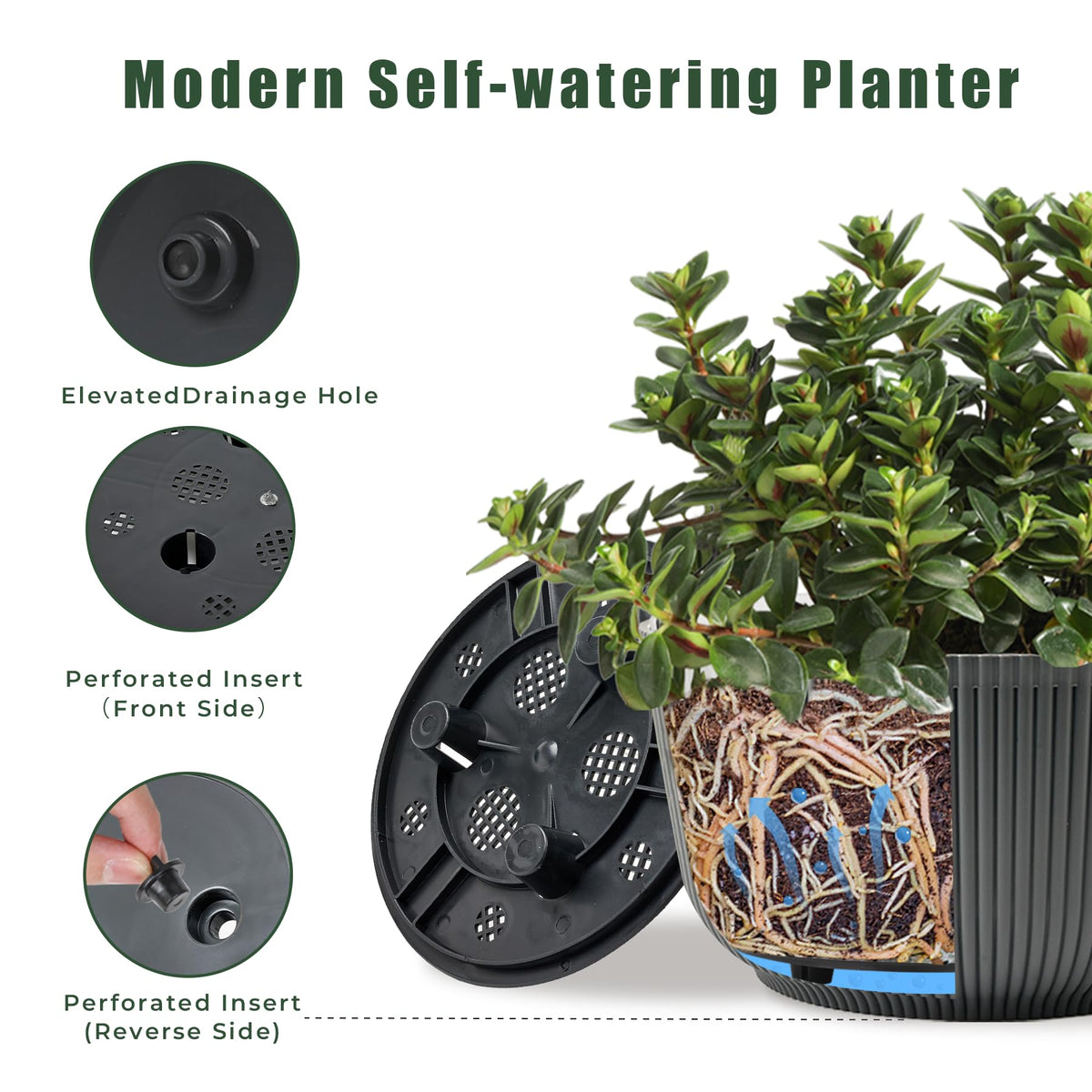 T4U self-watering pot base reservoir keeps roots hydrated when away