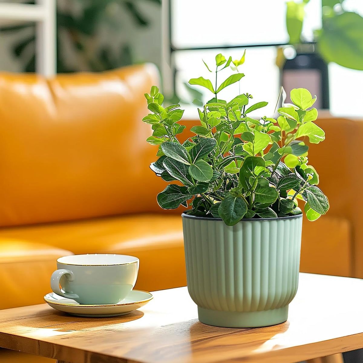 T4U self-watering pot reduces daily watering chores for plant lovers