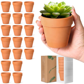 T4U small clay pots show drainage holes for healthier roots and easy watering.