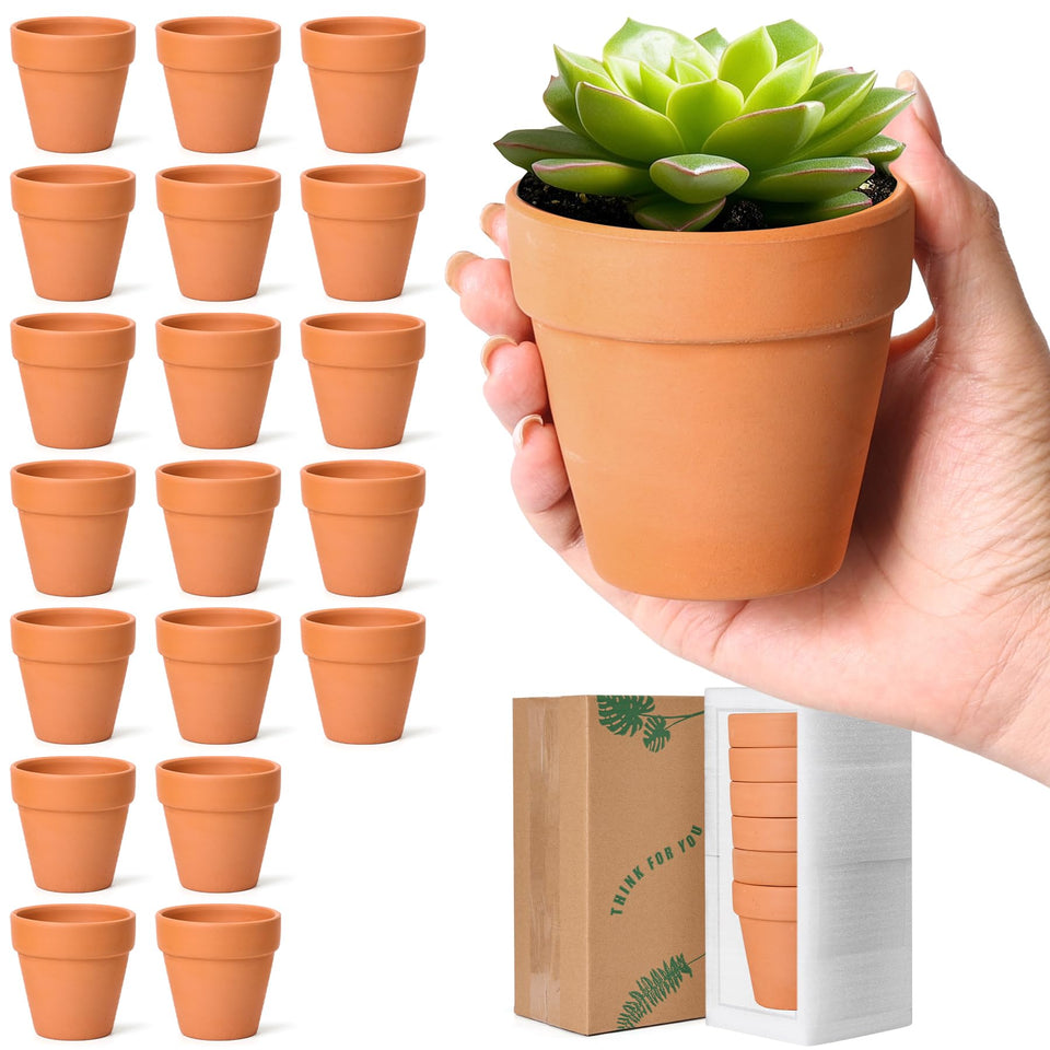 T4U small clay pots show drainage holes for healthier roots and easy watering.