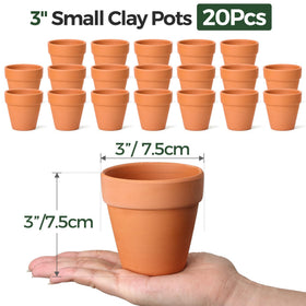 T4U 3-inch succulent pot ready for small plants and home micro-gardens.