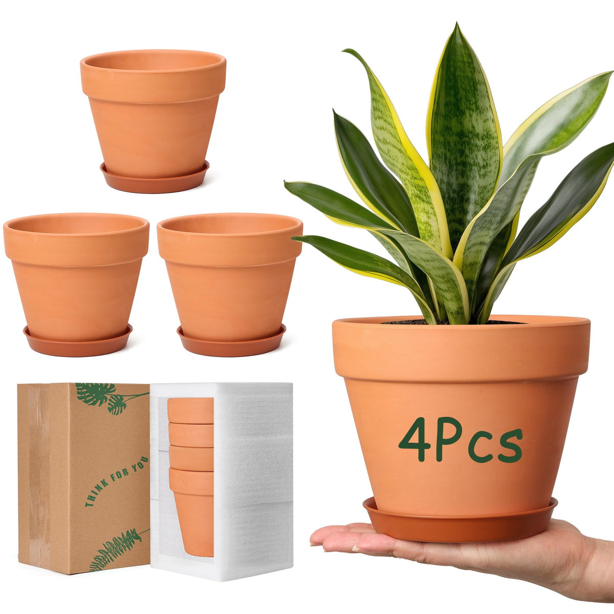 T4U terra cotta pot with saucer for breathable root health.