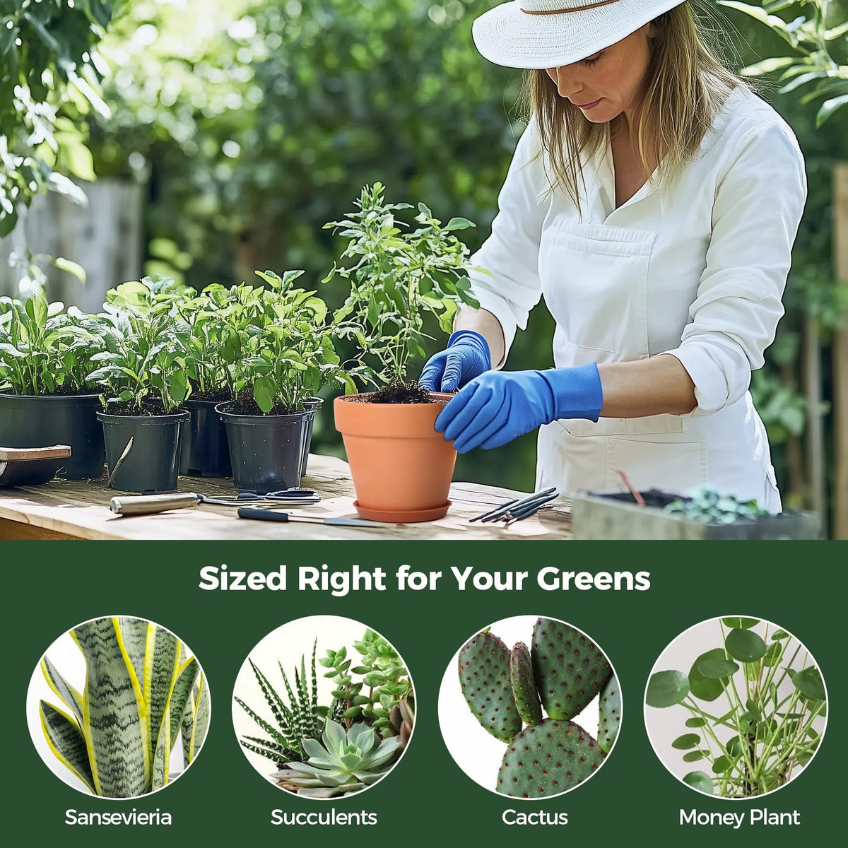 Great for succulents, herbs, cacti, and small houseplants.