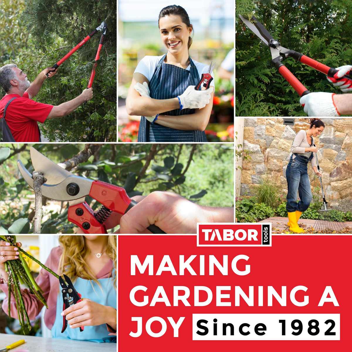 TABOR TOOLS GG22A in use pruning large branches safely