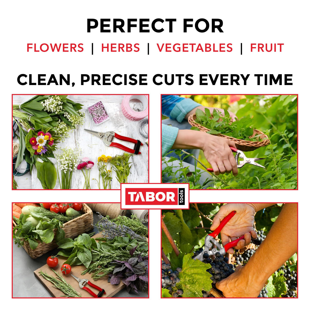 TABOR TOOLS K17A stainless steel blades resist corrosion for daily trimming tasks