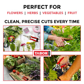 TABOR TOOLS K17A stainless steel blades resist corrosion for daily trimming tasks