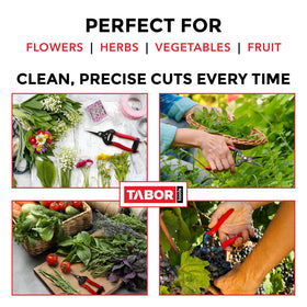 TABOR TOOLS K7A durable blades for clean cuts on flowers and herbs.