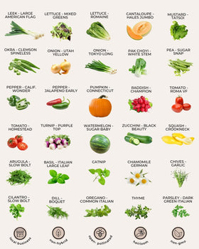 Tactiko Survival kit supports raised beds containers and greenhouses.