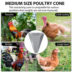 TAGEPUJIE handling process illustration reveals reduced bird stress and injury potential.