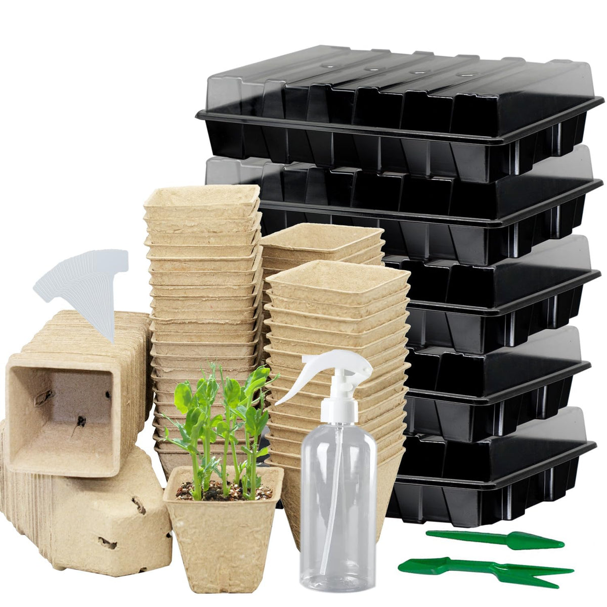 Taietc seed starter kit peat pots promote healthy root growth