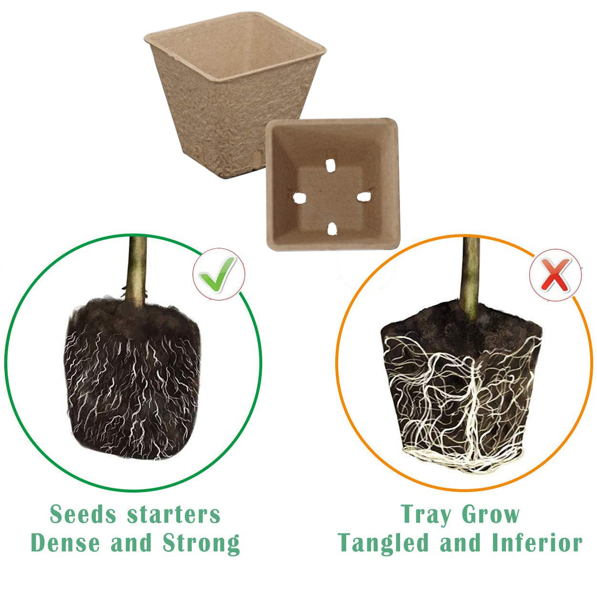 Taietc seed starter kit trays with dome for uniform germination