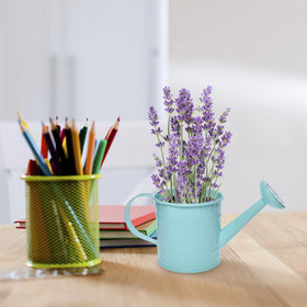 TAKMA indoor decor tin watering can; perfect as planter or desk accessory.