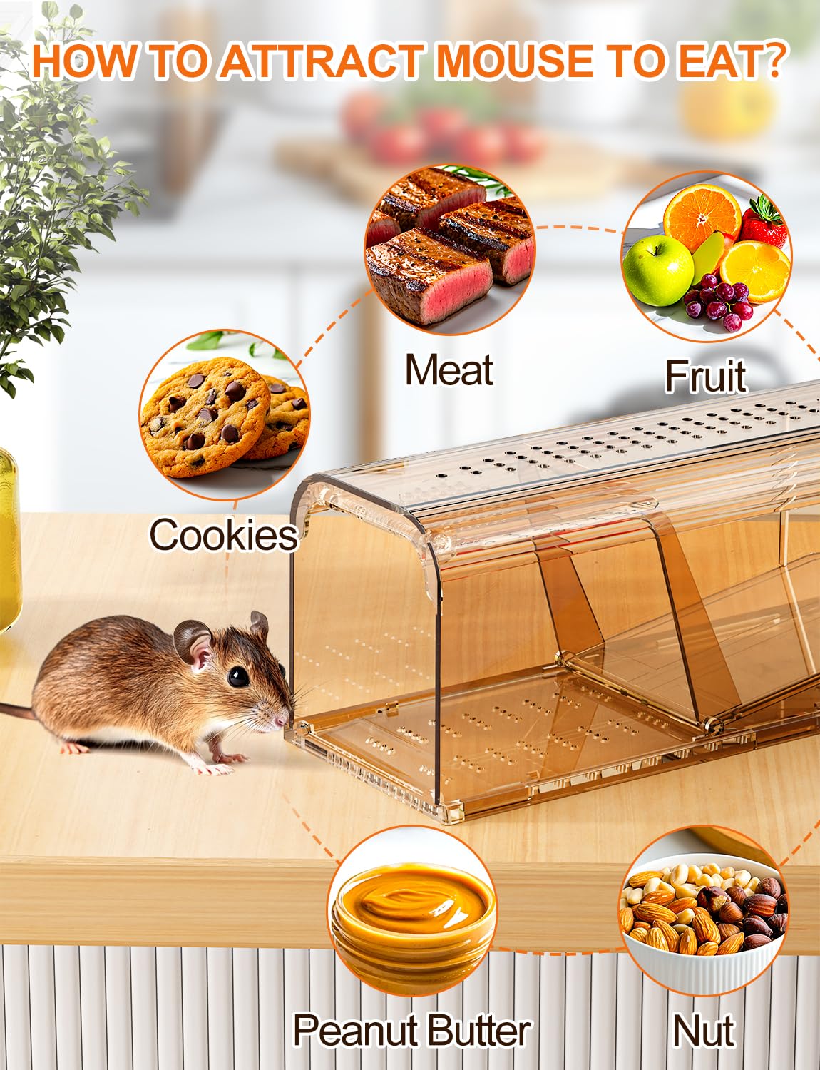 TAKRINK trap safe around kids and pets in a home