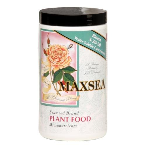 Talent Maxsea Bloom bottle pour demonstrates fertilizer for flowering growth