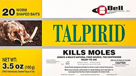 Talpirid bait in tunnels demonstrates underground application to reach moles where they live.