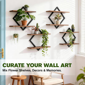 TALVADI living room plant decor enhances greenery while keeping walls organized