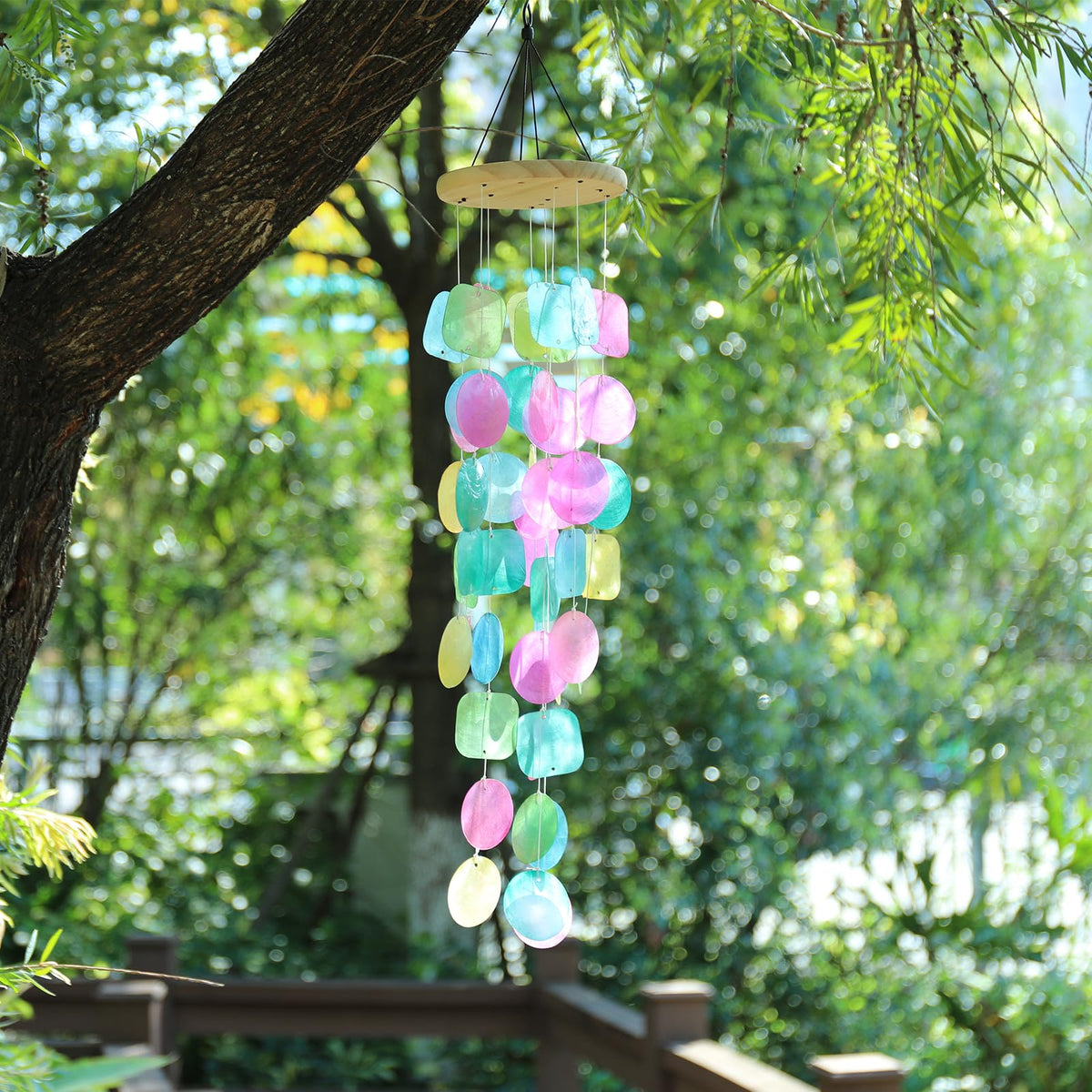 Taman capiz shells wind chime with colorful shells creates shimmering sunlight visuals