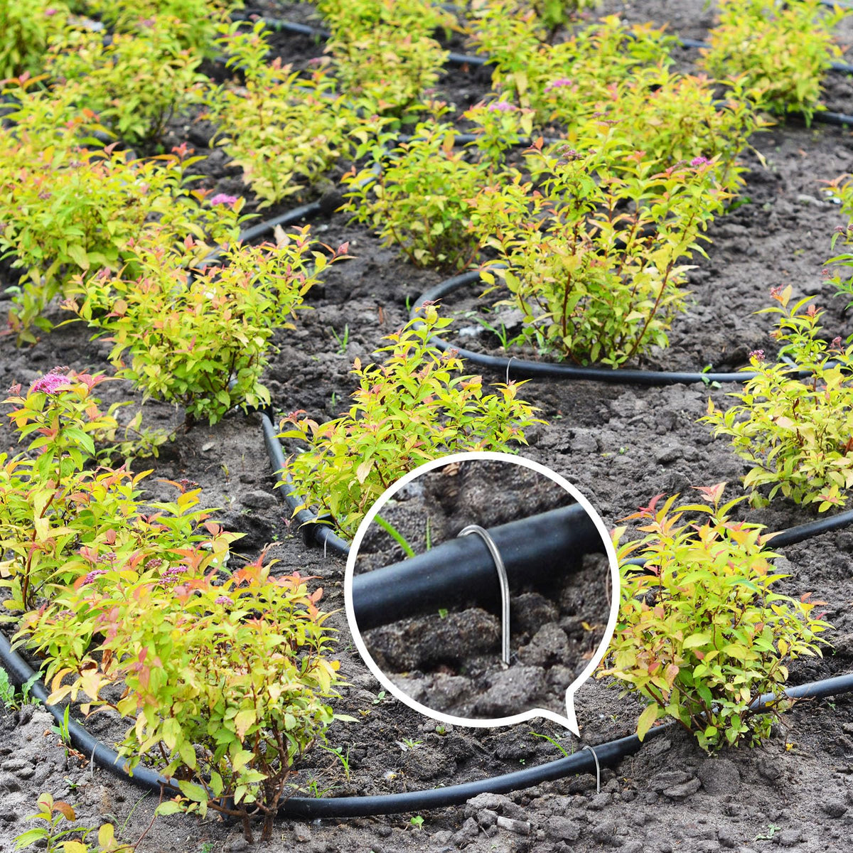 Tandefio angled-end stake designed for easy ground insertion.