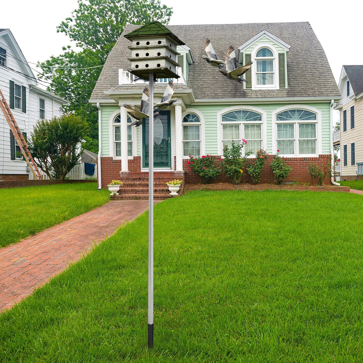 Tandefio extended-height setup showing elevated placement for bird housing
