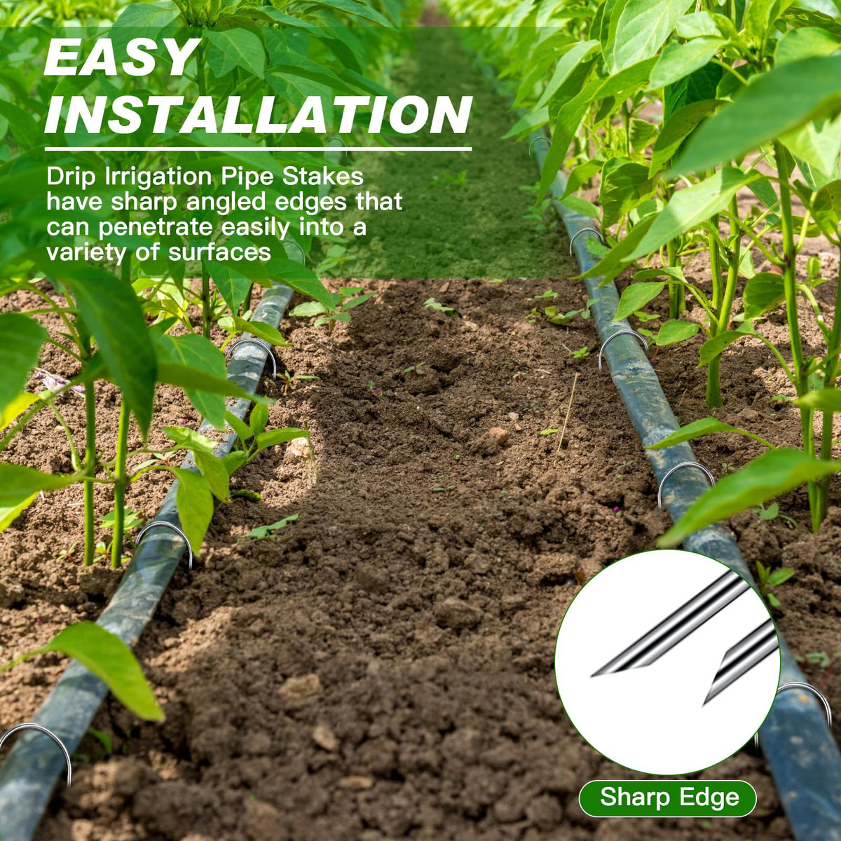 Tandefio stake securing garden hose or decor for tidy landscapes.