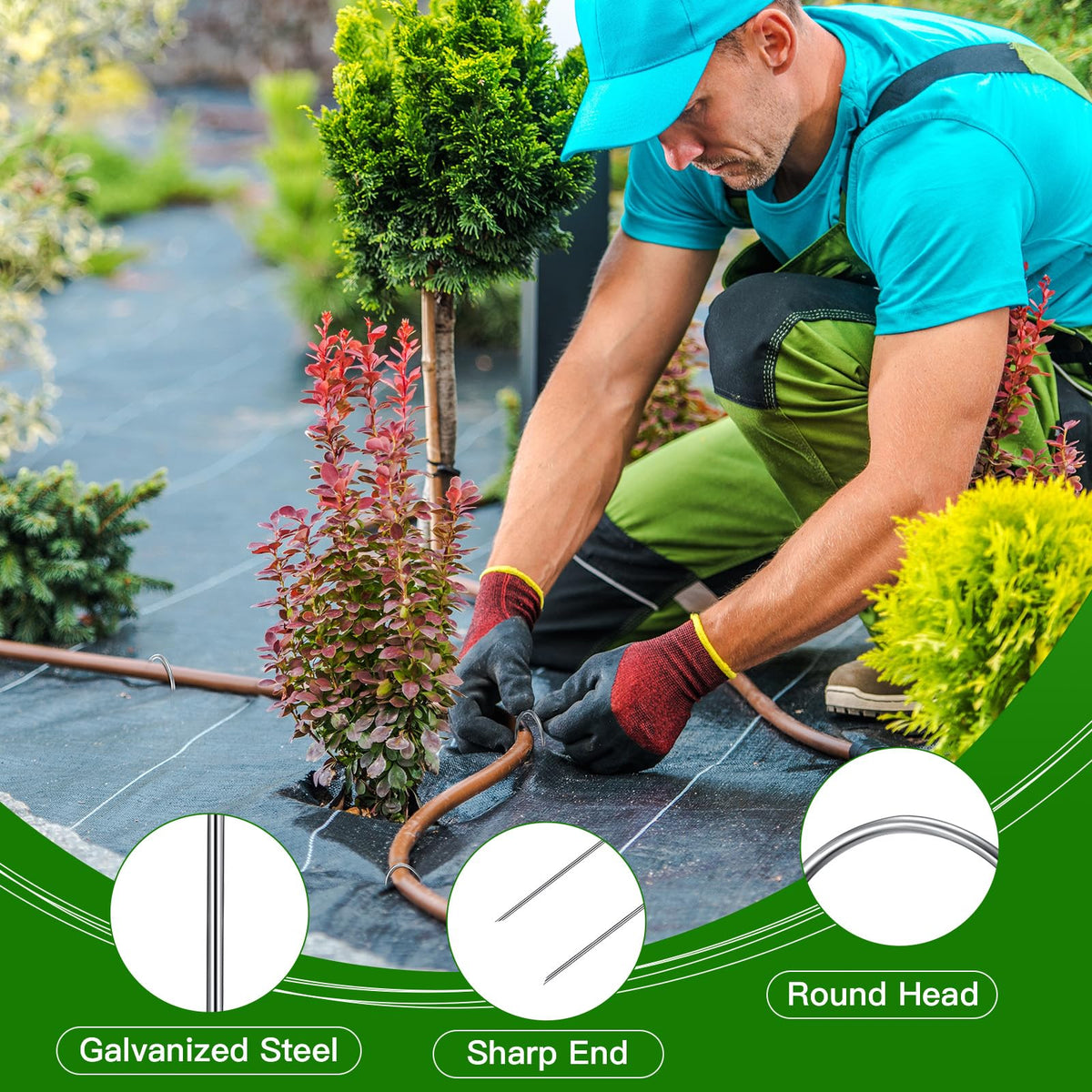 Tandefio stake anchoring weed barrier fabric to protect plant beds.