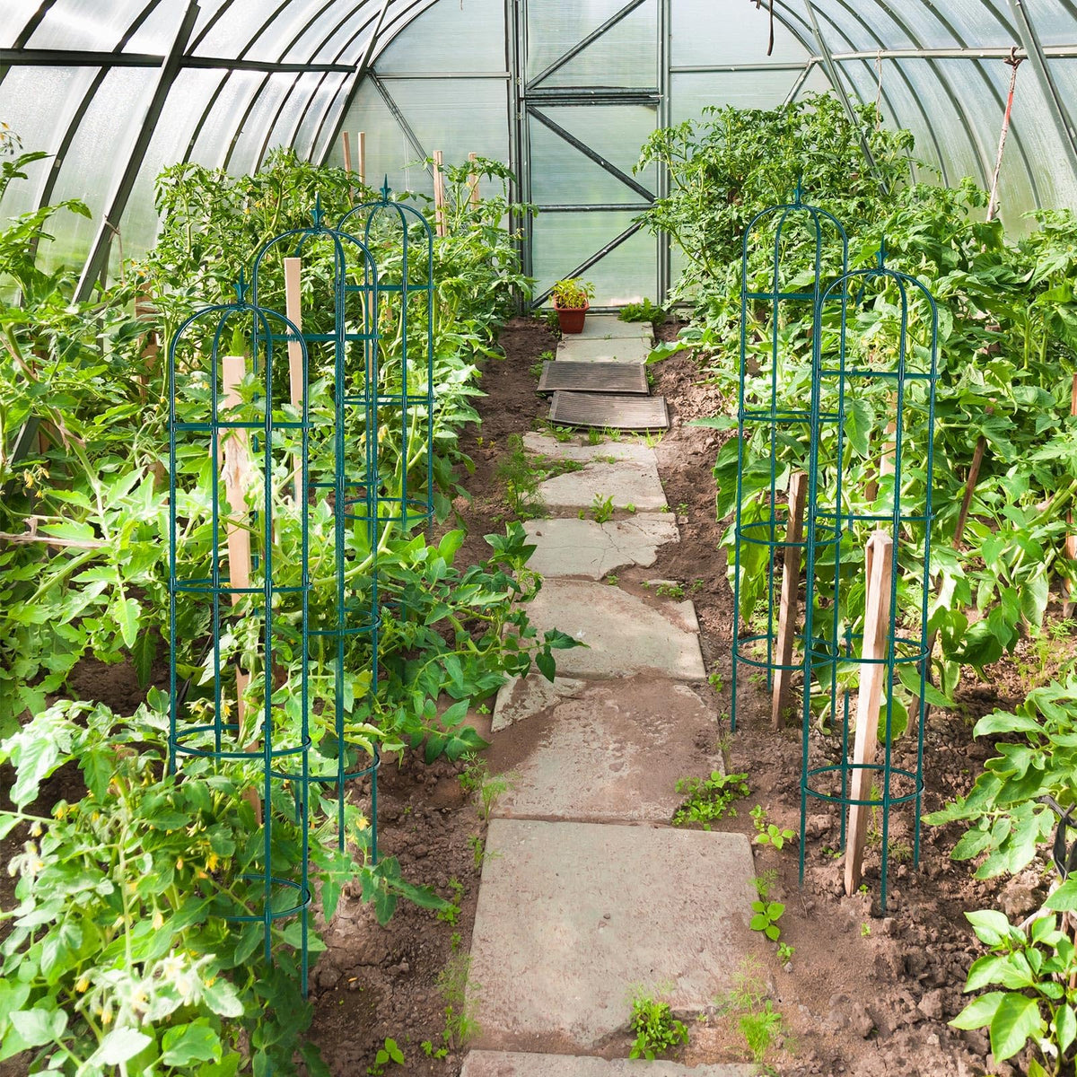 Tandefio versatile trellis suits indoor or outdoor plant growth.