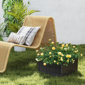Tangkula compact base dimensions for tight spaces.