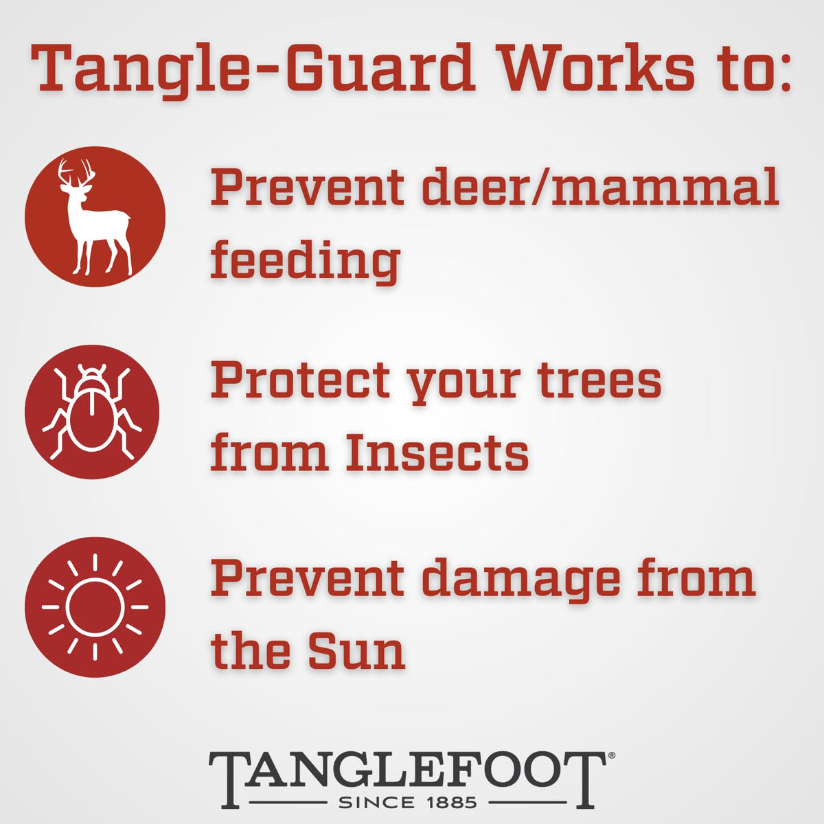 Tanglefoot Tangle-Guard is easy to apply and stays secure