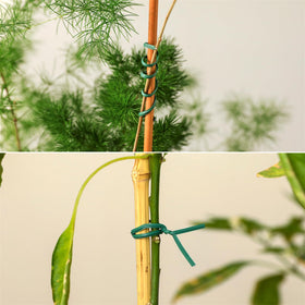 Tangyinrd craft-use twist ties ideal for crafts and DIY projects.