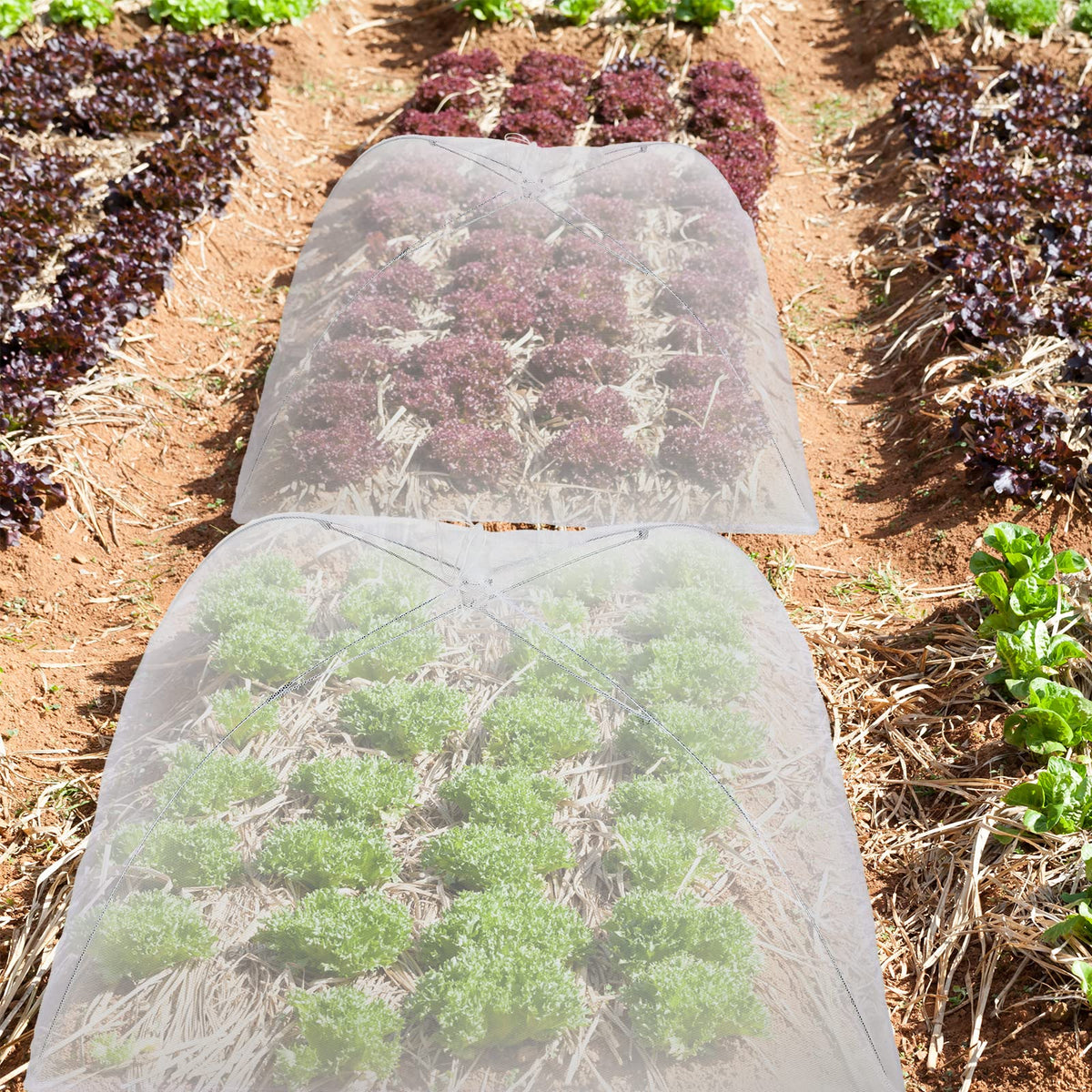 Tanlade vegetable-food-cover-net protects produce during picnics and garden meals.