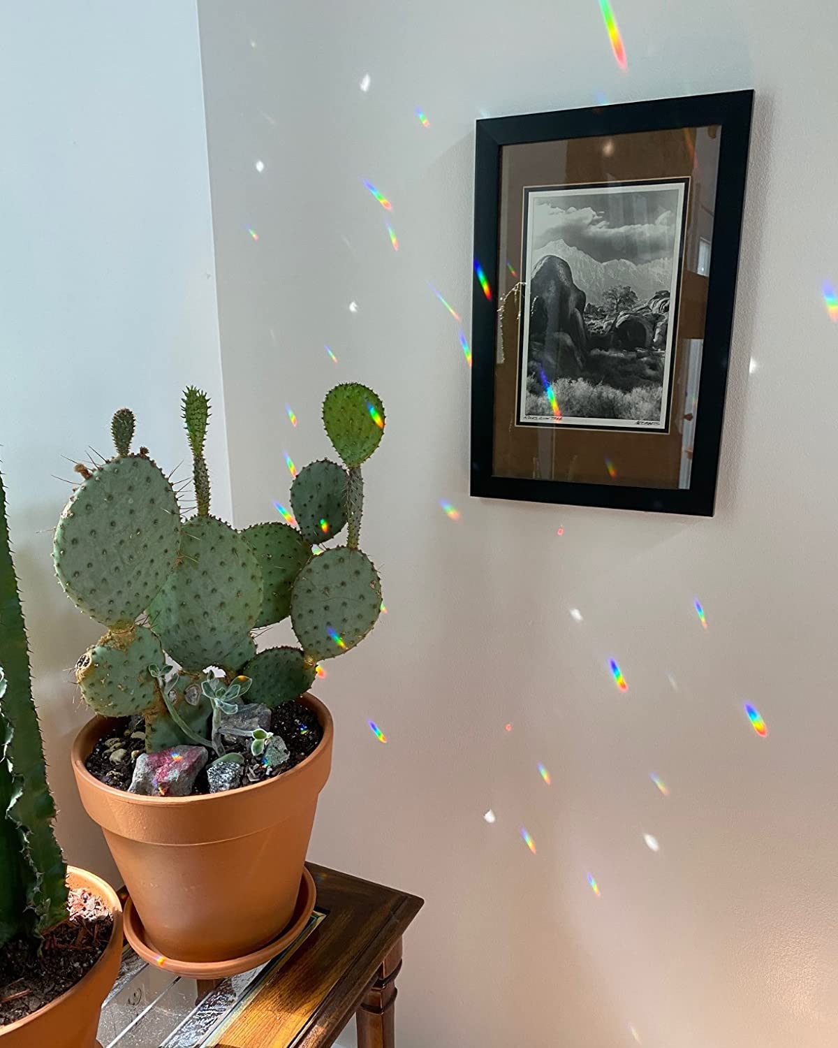 TANOMA Rainbow-maker crystal prism creates colorful light spots for cozy rooms.