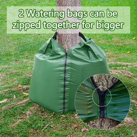 Tanzfrosch deep watering promotes root growth for transplant-ready trees