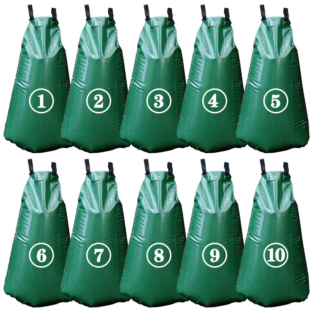 Tanzfrosch 20-gallon tree watering bag wrapped around trunk for steady hydration