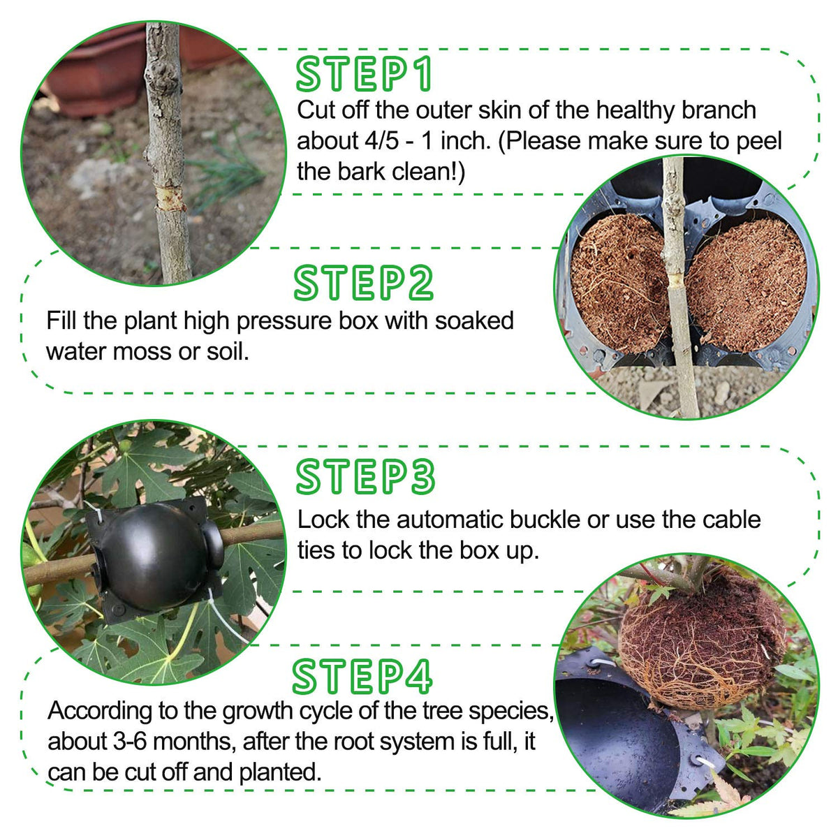 Plastic cable ties for secure attachment to branch