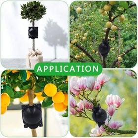 Reusable propagation shell ready for cloning multiple trees