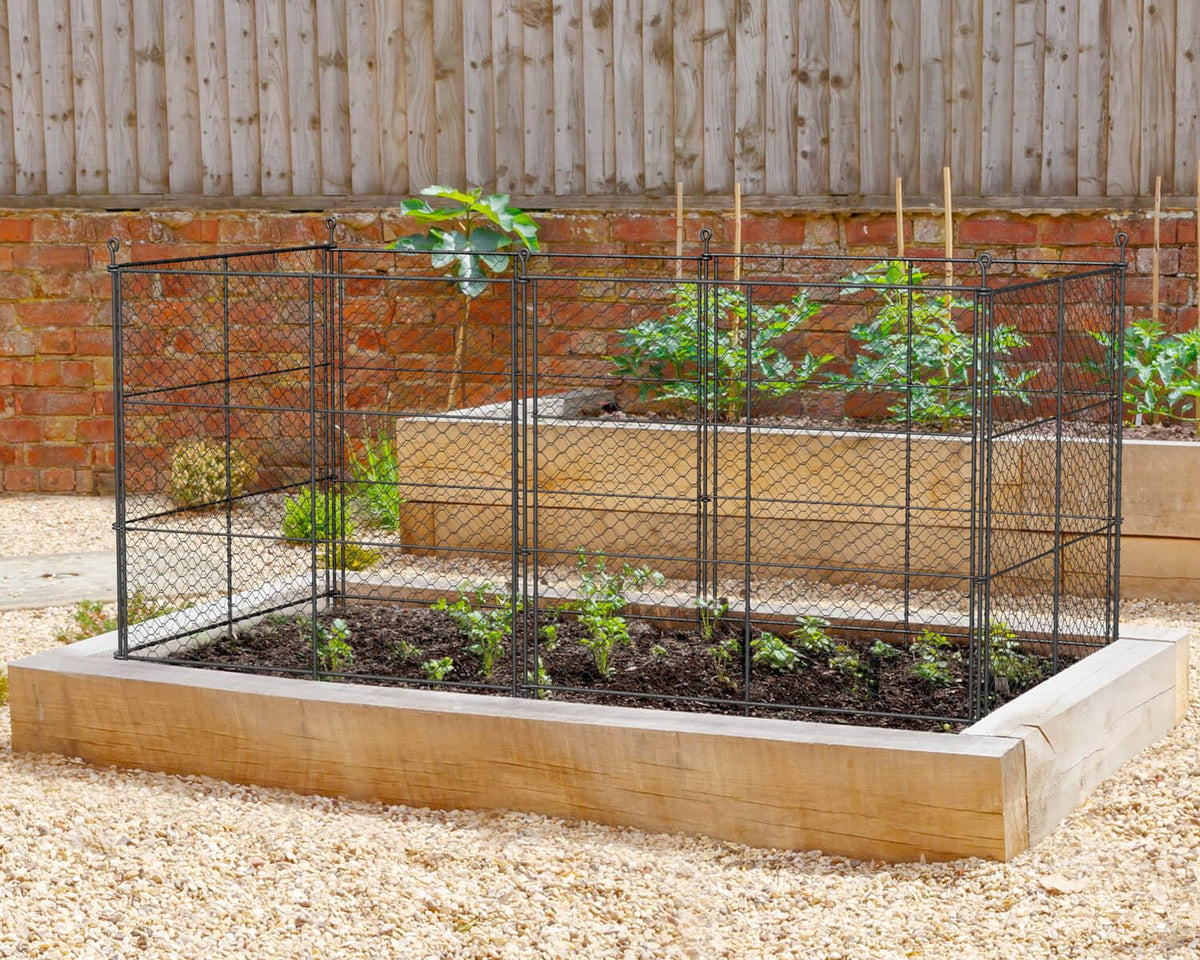 TAOMENNI 6-panel chicken wire plant protectors guard vegetables from pests