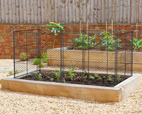 TAOMENNI 6-panel chicken wire plant protectors guard vegetables from pests